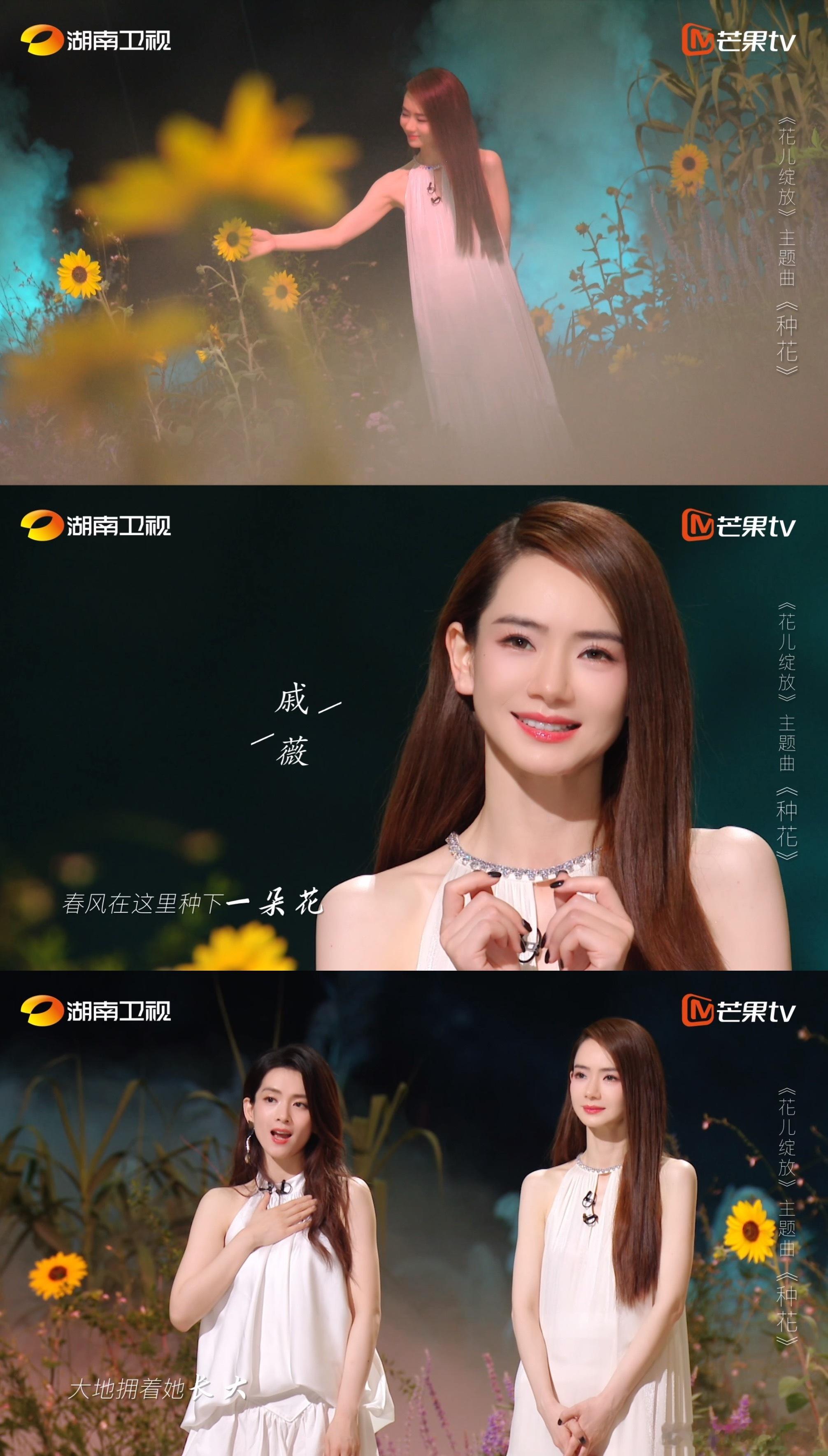 #戚薇蔡文静何洁陈昊宇种花MV##戚薇蔡文静何洁陈昊宇种花# 让“花和我一样，坚