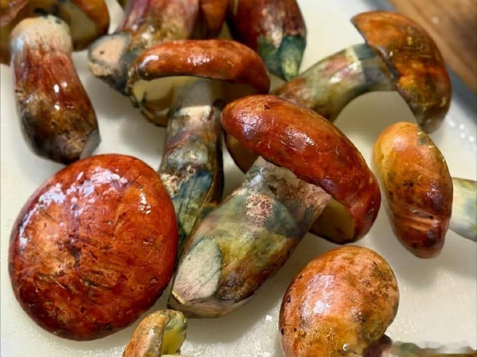 夫妻同吃见手青楼道内缠斗扭打这标题看了半天没看明白，原来见手青是一种菌菇啊。两人