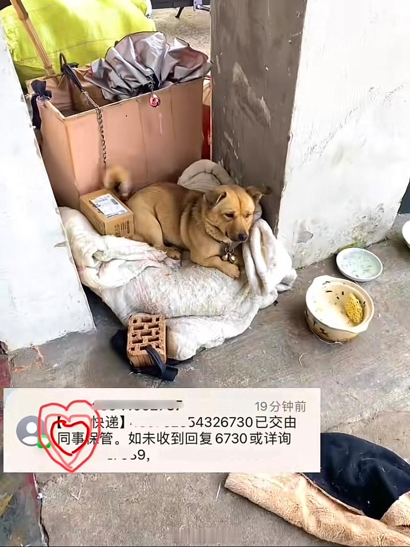 快递员是会填签收人的[doge]#春日cityhappy计划##本命年许愿池# 
