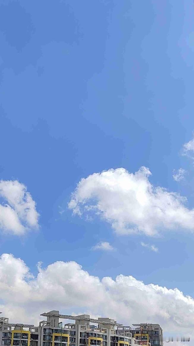 世事难如意，清风慰人心
       天气这般晴朗，我却难以开心起来。来上海就诊
