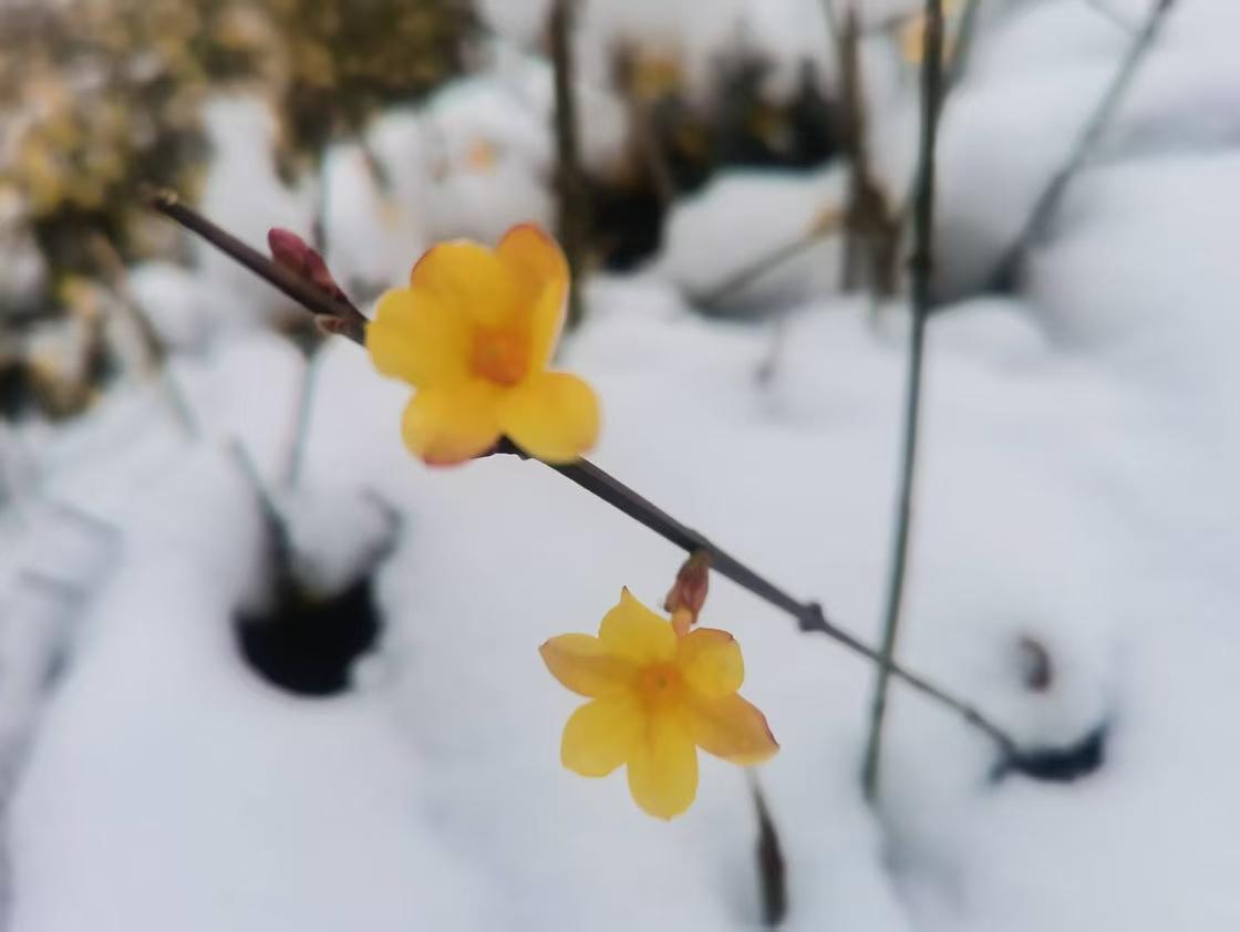 2026年，万事可期。以热爱为帆，以勇敢为桨，把烦恼留在过去，把勇气带进未来。不