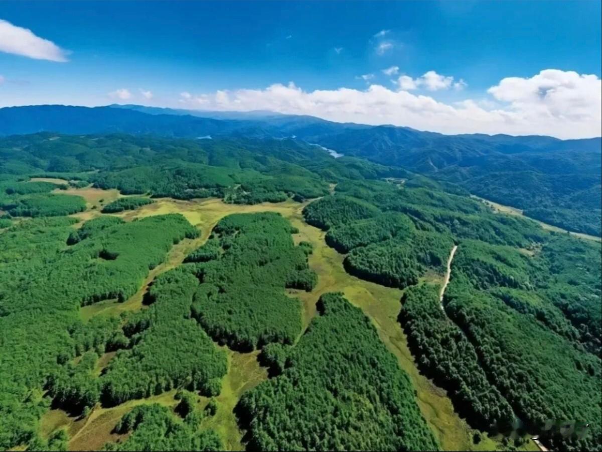 解密哀牢山“奇诡声光”！央视11分钟深度调查，楚雄这片秘境被揭开
       