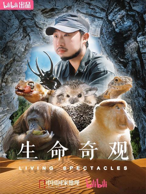 全国百所高校在五一推荐纪录片五一将至，全国百所高校联合推荐纪录片，带你足不出户，