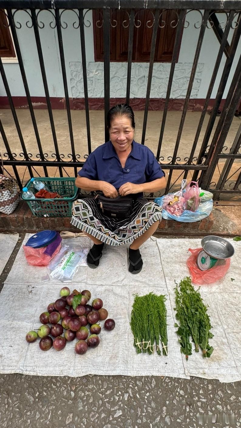 琅勃拉邦的早市没看到野生动物出售，听说有卖穿山甲，熊掌等，因这个国家没有禁猎，野