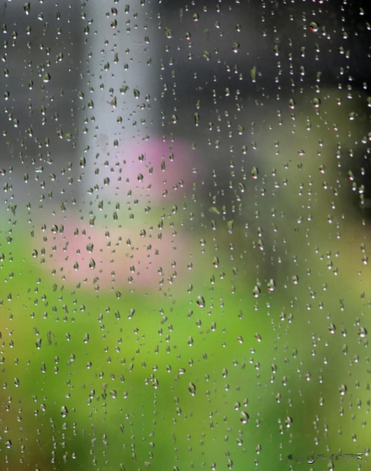沈阳下雨了，这场初冬的雨下了一夜。

在这纷繁的人世间，我或许就是你在雨天里奔跑