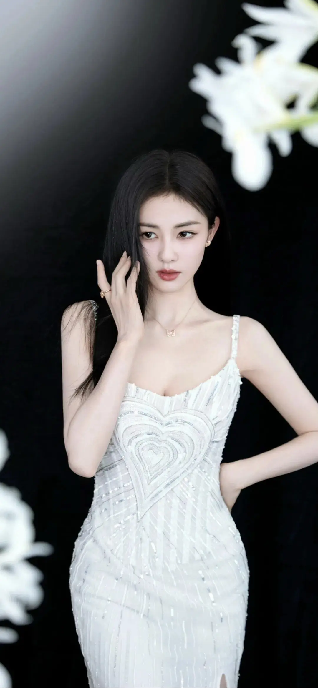白鹿