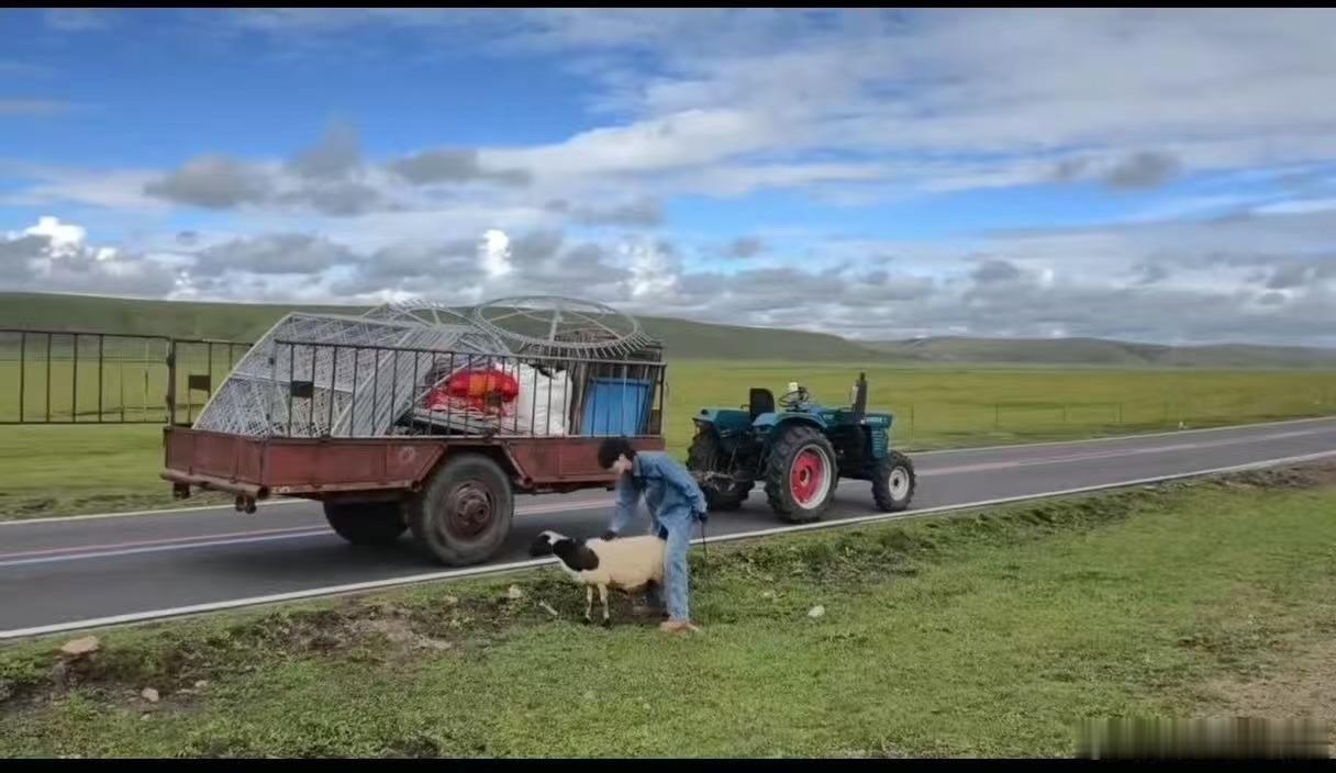 何赛飞宁静邵子恒草原捡牛粪 邵子恒在一群影后中间捡牛粪，毫无违和感是怎么回事。偶