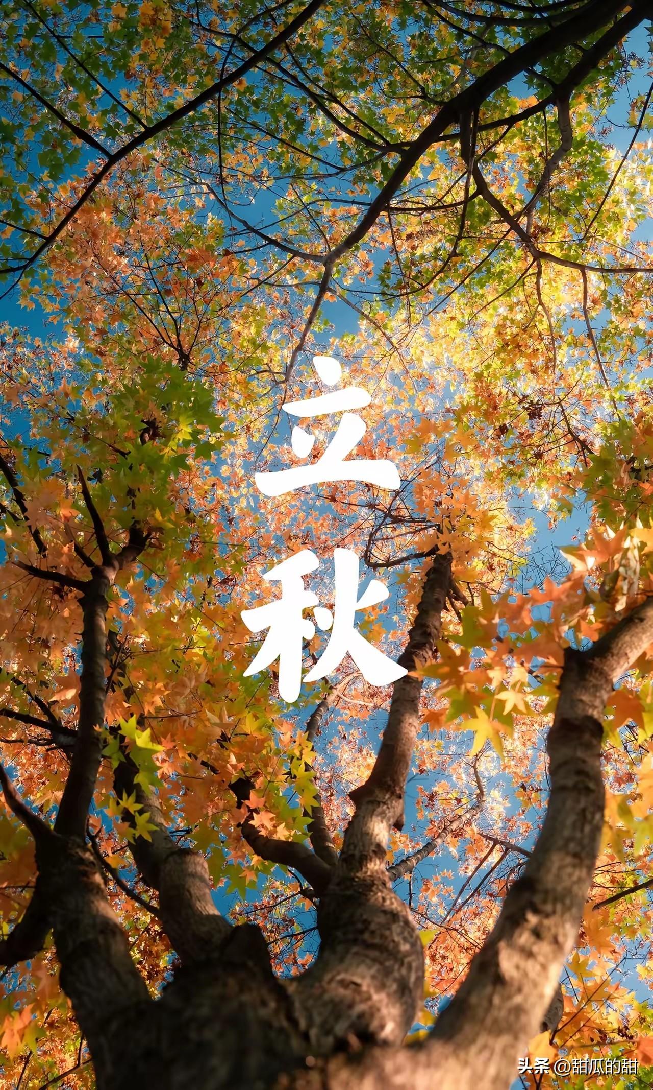 不是迷信！明日立秋，最不能做的4件事，告诉家人要知道
 
明天是8月7日，农历六