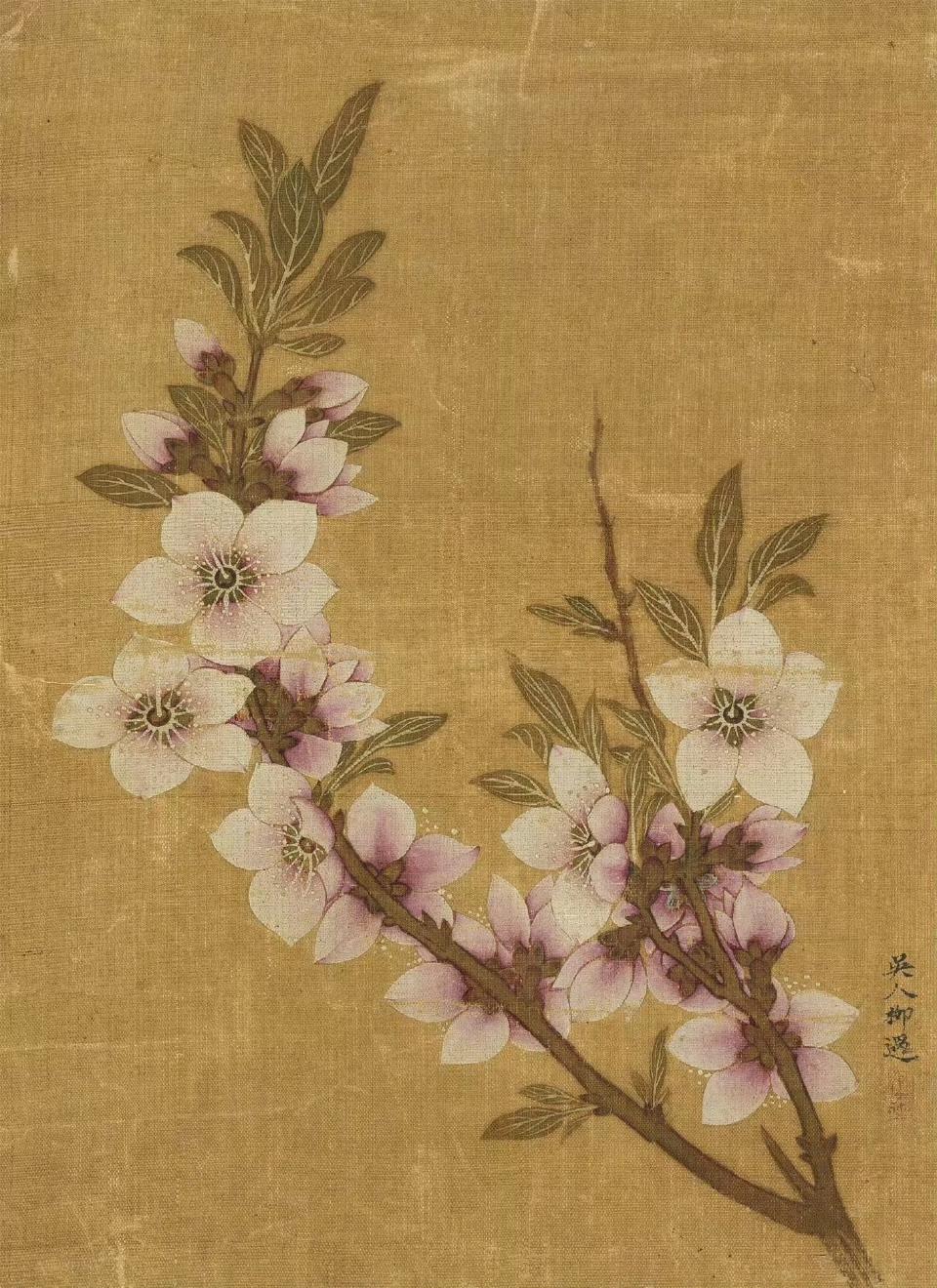 柳遇 桃花潋滟图

桃花画的这么美，想起唐伯虎的桃花诗来:
桃花仙人种桃树，又折