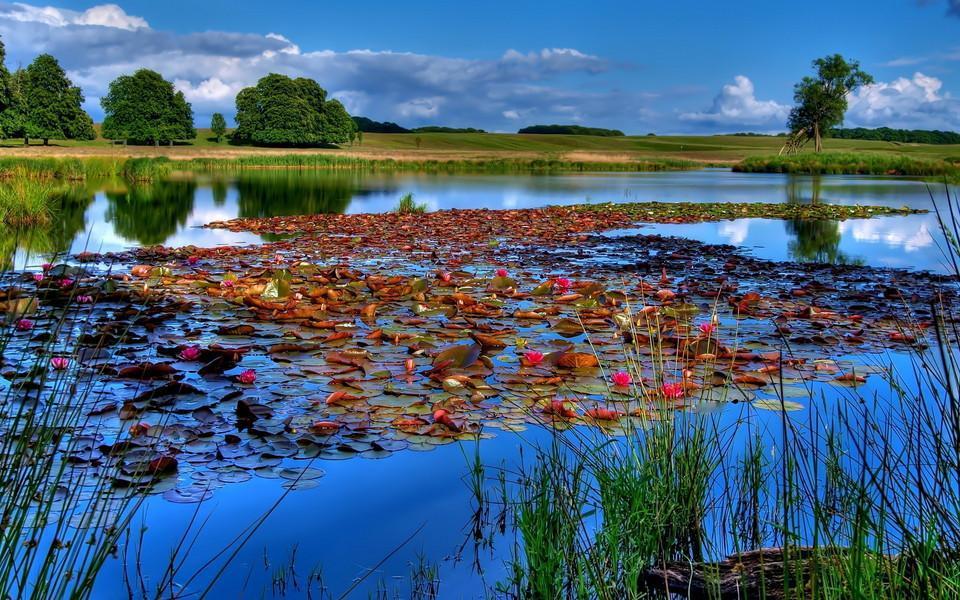 既然改变不了剧情，
不如沉浸其中，全心体验。
你会慢慢发现，
痛苦多半来自总想掌