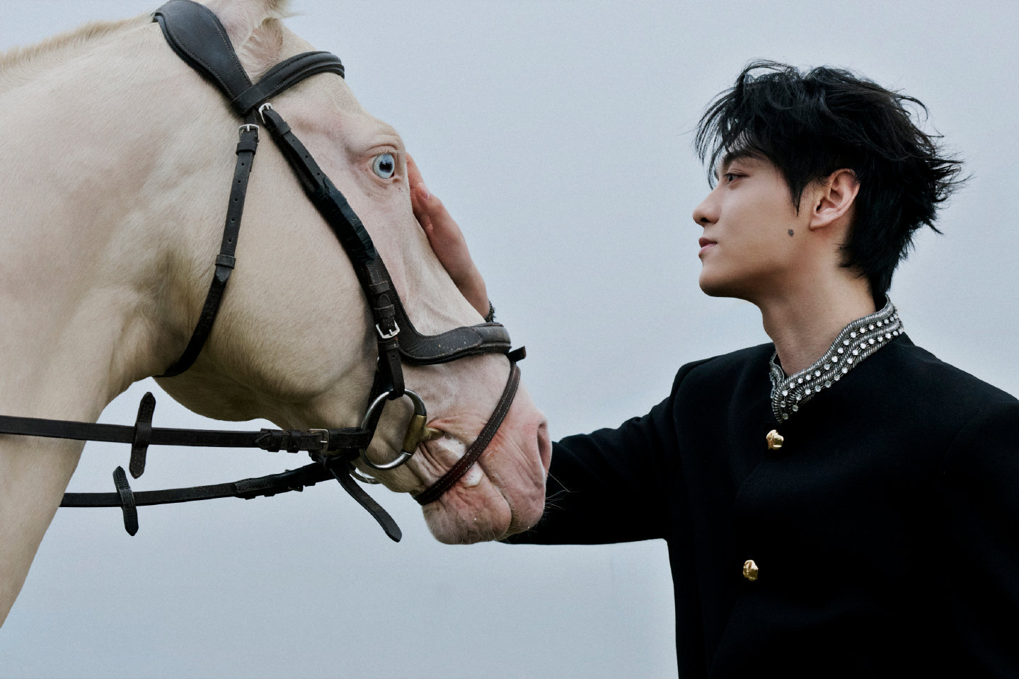 田栩宁直播全新造型🈶 身穿Valentino的复古宫廷风王子骑马执剑，呈现英姿