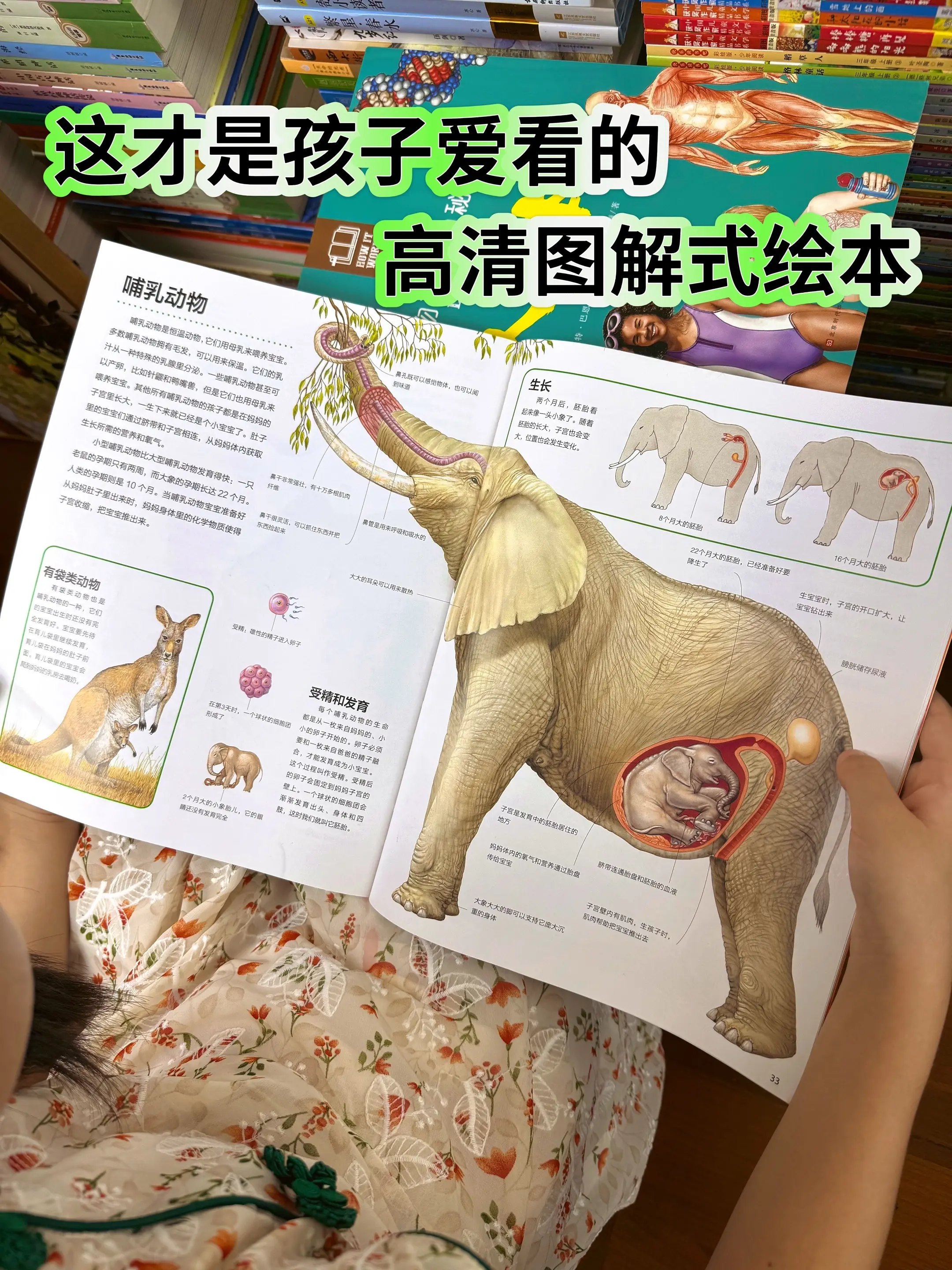 ✅不愧是由英国皇家天文学会院士领衔创作、清华博士团队翻译！2019年中...