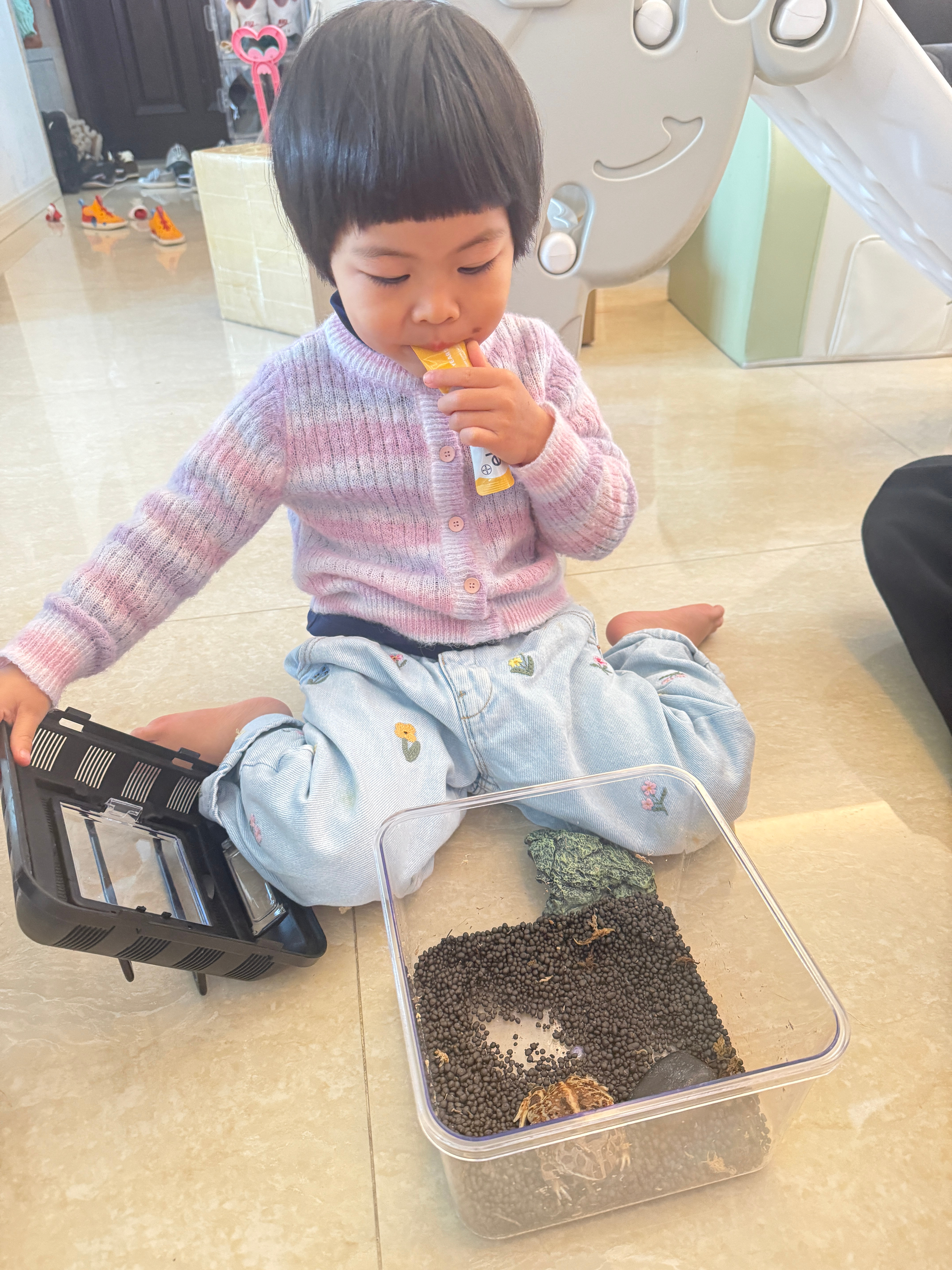 虽然吃饭表现一般但好在爱吃营养品