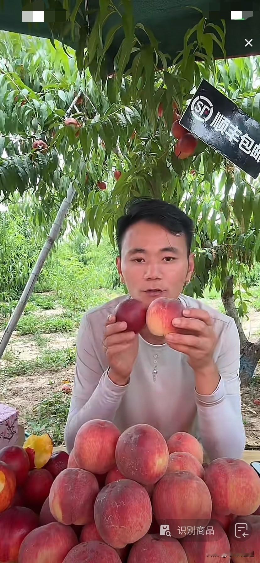 今天厉怀远准时开播！为了把这个应季鲜桃卖出去！厉怀远承诺给粉丝福利，大土豆！一块