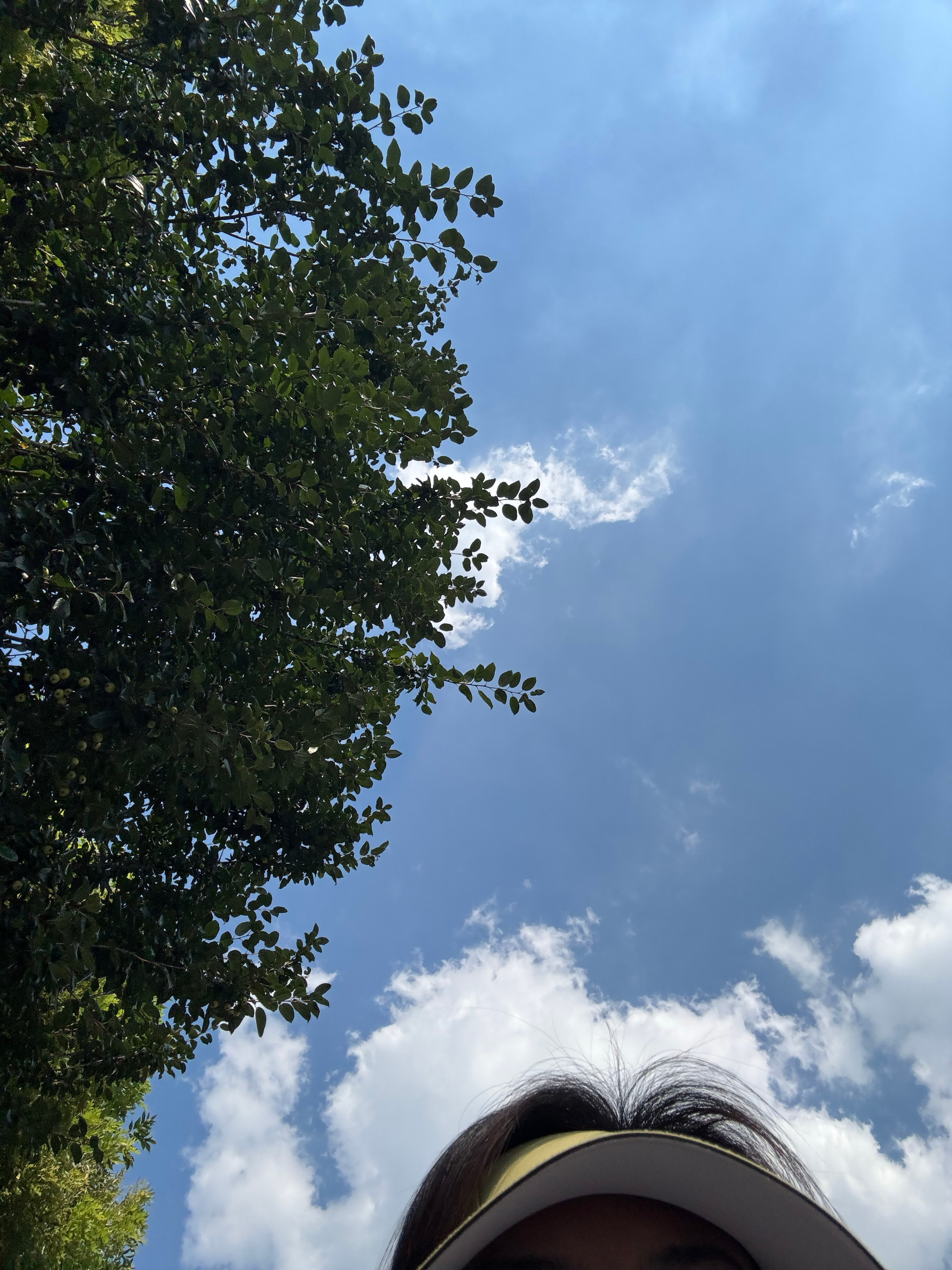早上跑10km白天4节课晚上再来一节crossfitNice了小颜的运动记录  