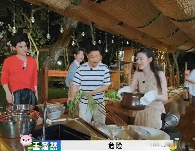 金晨走后，王楚然凭什么接住《现在就出发4》？