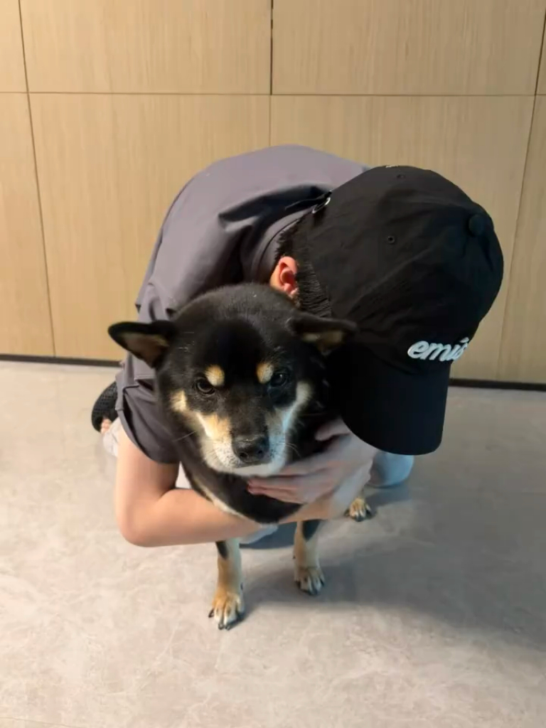 回家真好啊 好幸福🥰上次亲亲😗这次也要亲亲♡⊂(˃̶͈̀ε ˂̶͈́ ⊂ )