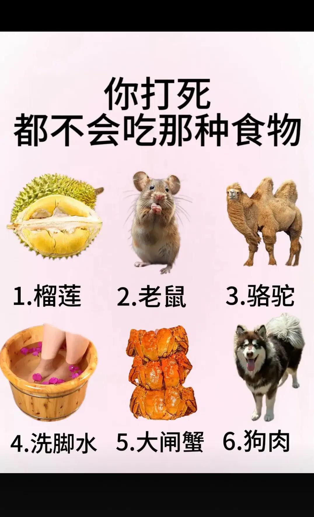 打死你都不会吃的是那种食物？？？？