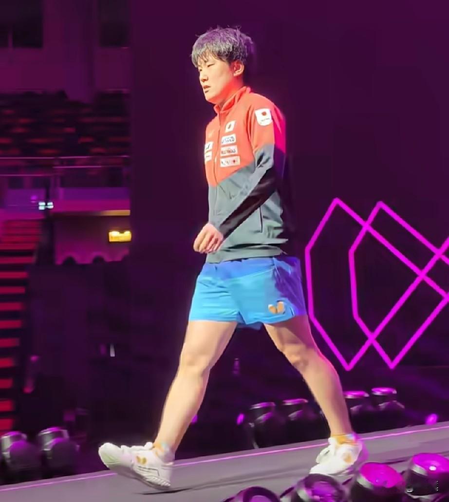 张本智和今晚又要失眠了！！

刚刚澳门站结束了一场男单半决赛，没想到张本智和最后