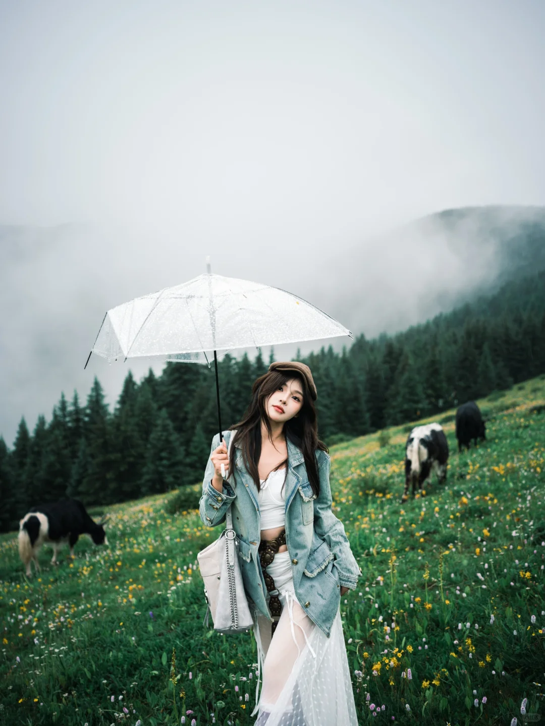 在川西阴雨天拍到了人生氛围照片☁️