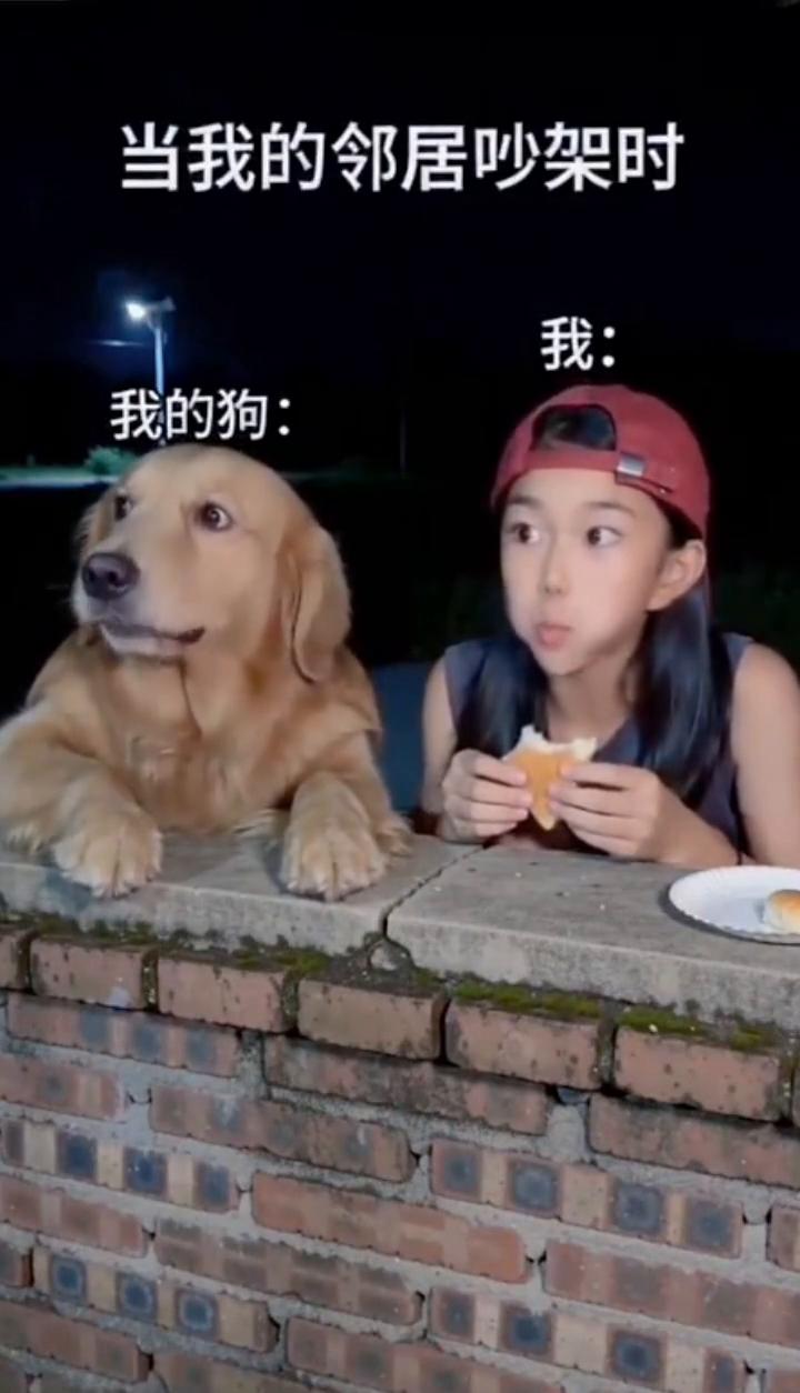 当我的邻居吵架时。
我：我的狗。
