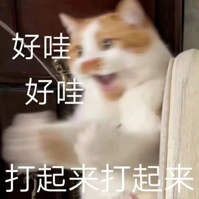 xswl 看热闹