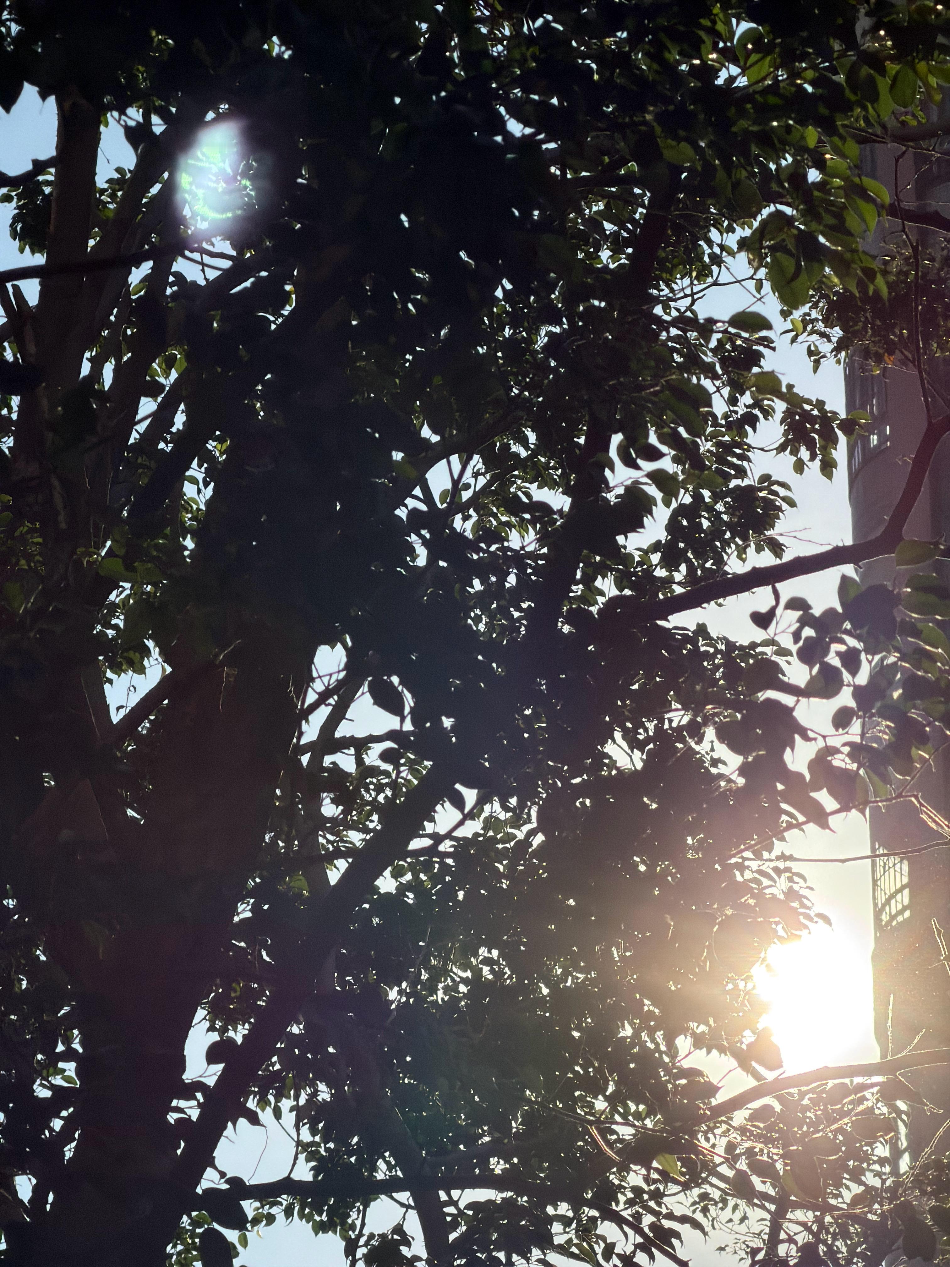 早早早[心] ​​​