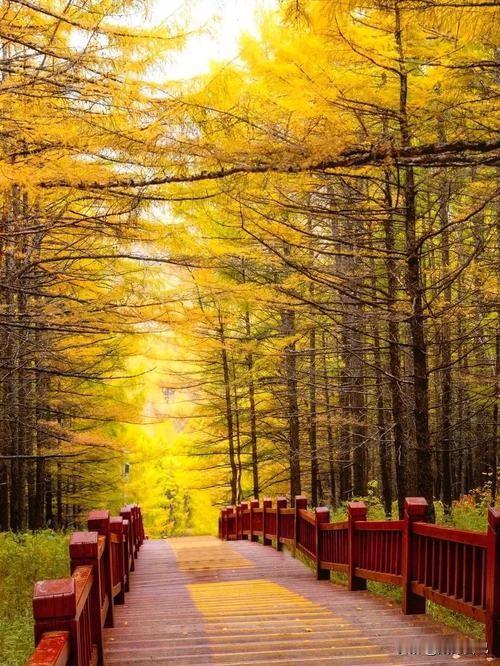 我和相处了二十年多的朋友绝交了，12月20日报道，没吵架，没生气也没闹矛盾，就这