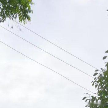 如果你想快点成名，那就得早点起床；如果你想快点长智，那就得慢点骄傲；如果你想慢点