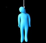 糖鲤热看体育