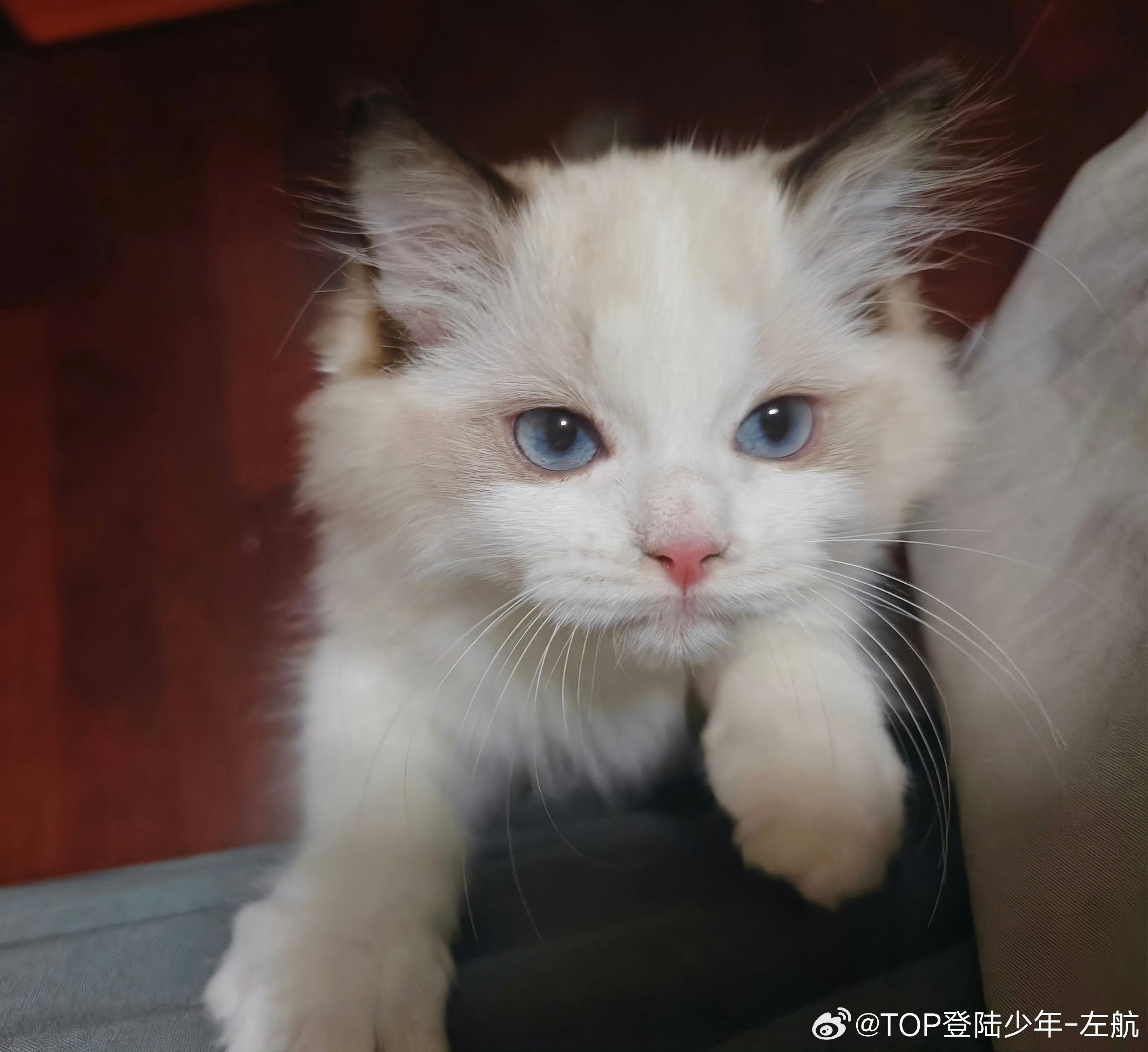 米儿生日快乐！ 