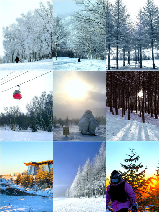 万龙野雪小树林亲测！好玩爱玩还出片！