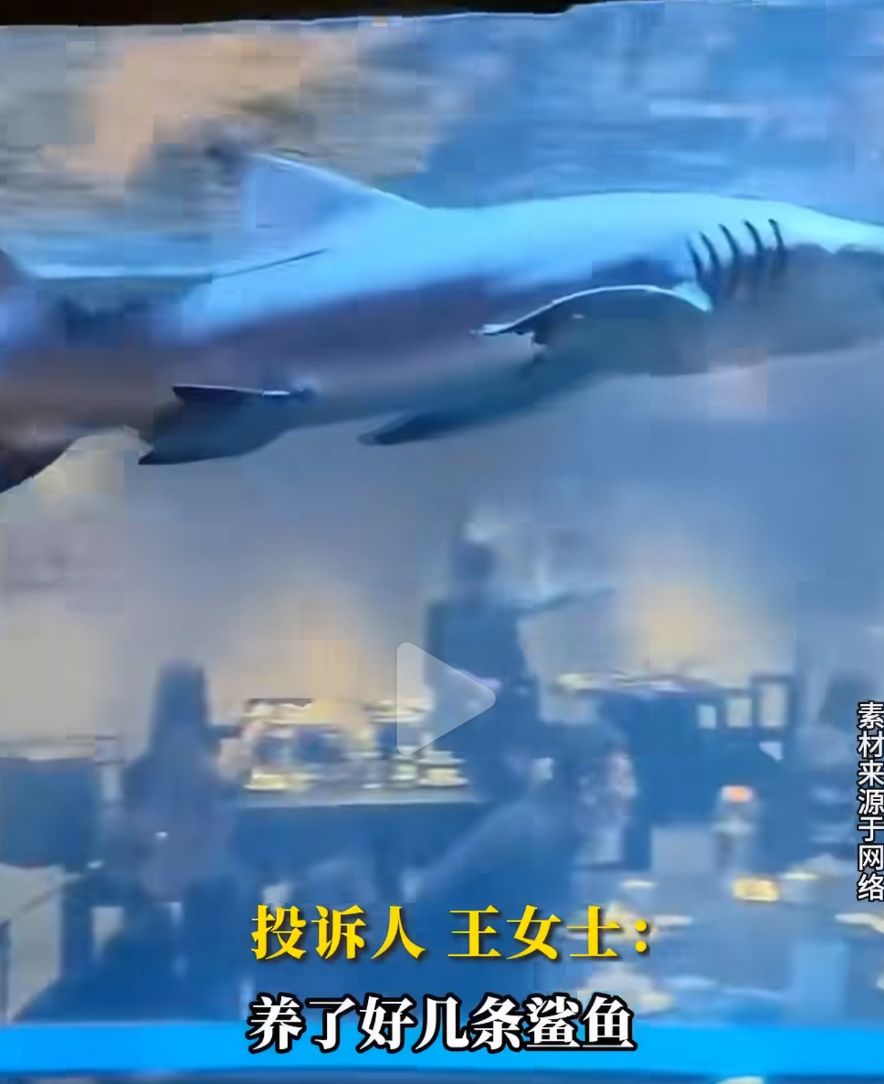 火锅店用鱼缸养鲨鱼供人观赏在这么狭窄的地方养鲨鱼，第一是没有考虑过动物的生存环境