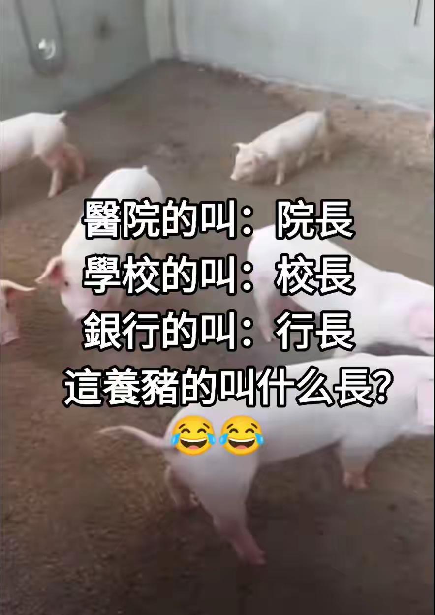 猪馆，叫馆长；猪舍，叫舍长；猪栏，叫栏长；猪圈，叫圈长；猪场，叫场长；