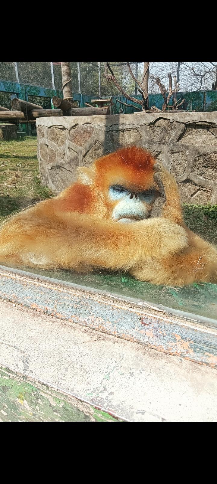 春日生活打卡季