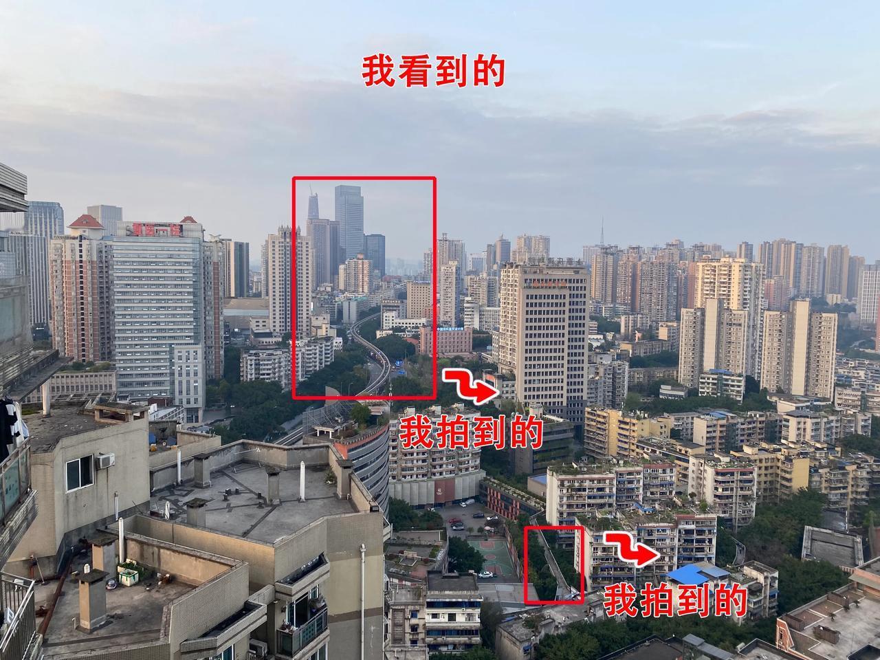 我看到的&我拍到的，生活随处是美，仔细观察你也可以拍好照片