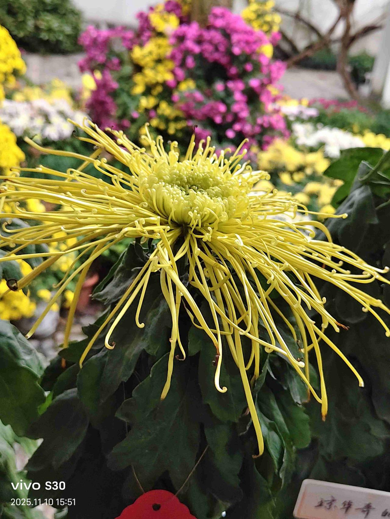 我的今日状态：😁轻松愉快
我这里的天气：☀️晴天