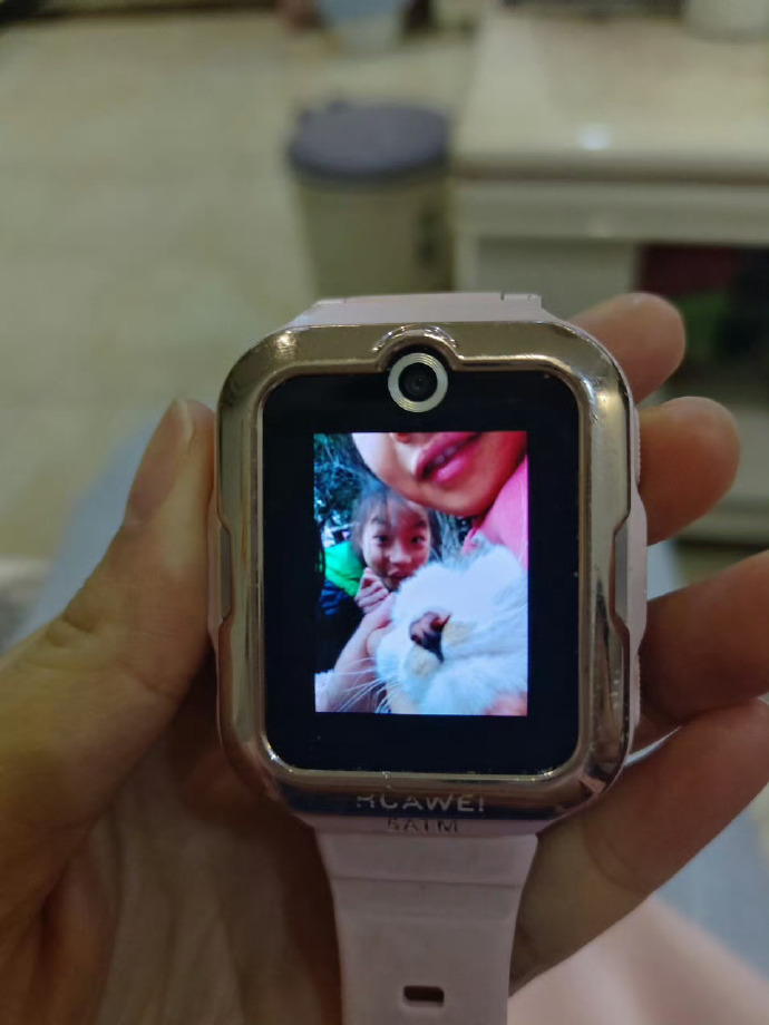 小学生吸猫实录 