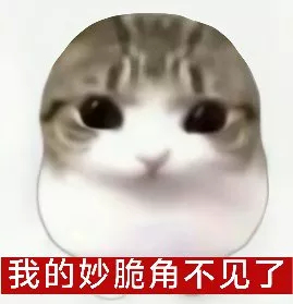 分享图片 