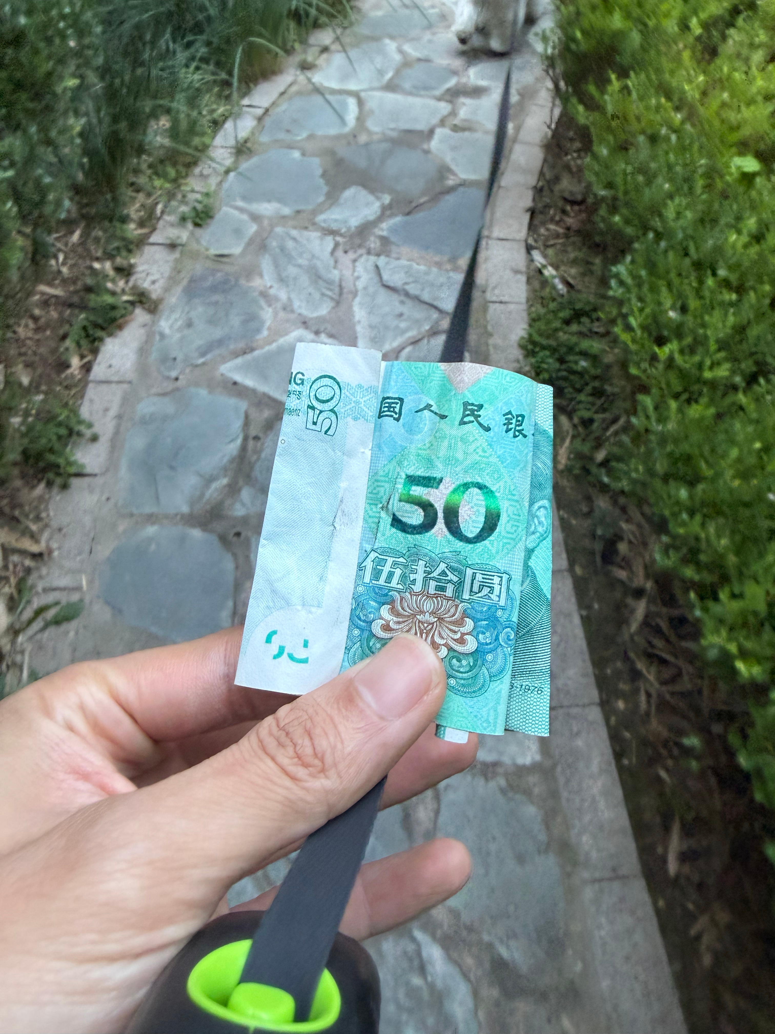 遛狗捡了50块钱，应该交给物业吗[疑问] 有没有更好的解决方案 在线等bowen