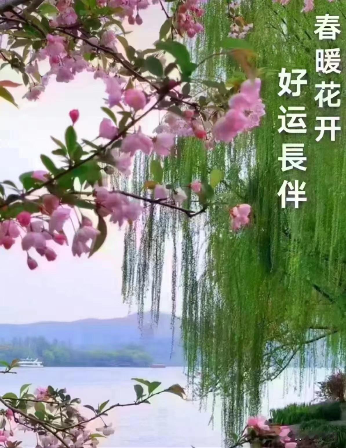 五律《天天好运来》
 
心随花始发，
笑意满庭阶。
风拂香盈袖，
晴来景入怀。