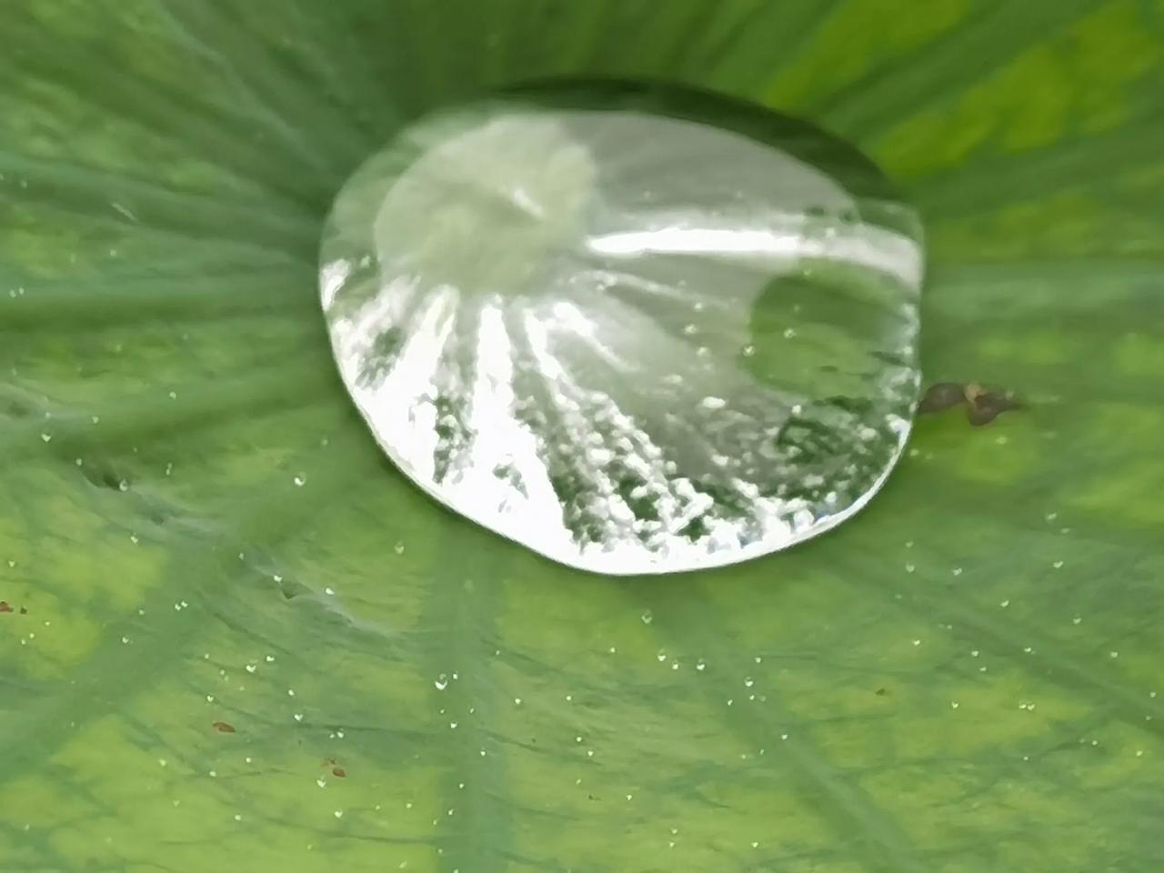 看了某著名学者的文章，突然有个感慨：他们查阅和梳理大量无价值的文献，得出了十分精
