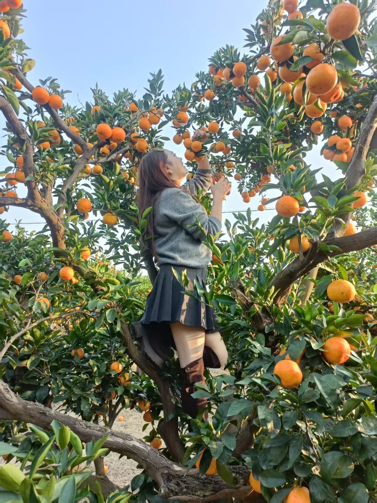 小时候喜欢的，和长大了喜欢的同时出现了幸福的农村生活