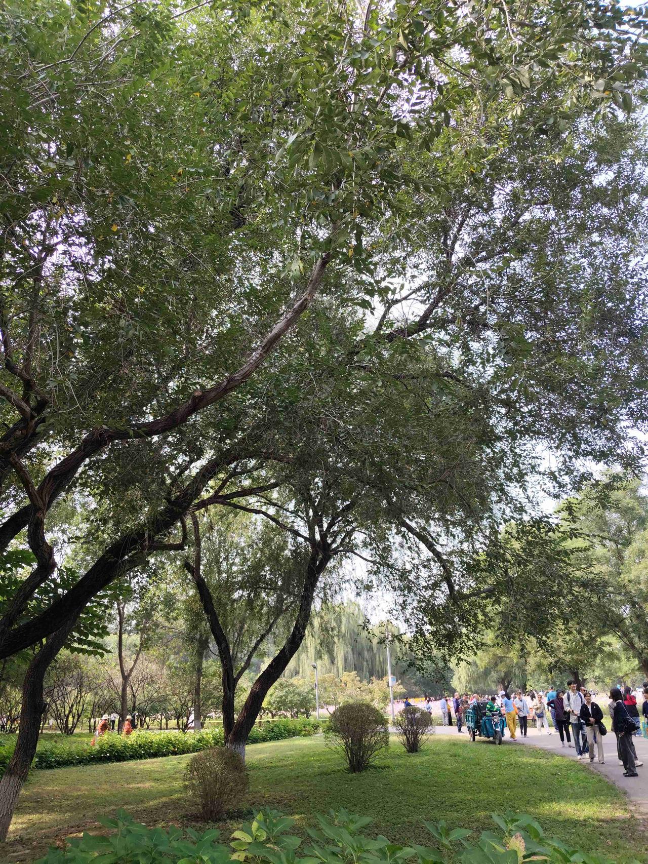 我的今日状态：🏃‍➡️运动
我这里的天气：☀️晴天