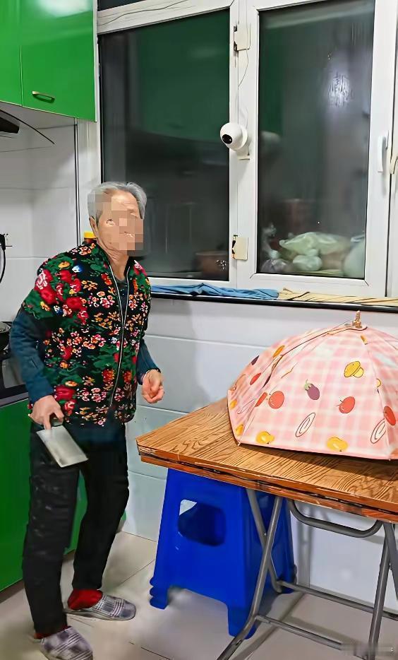 有老年痴呆症病人的家，简直被祸害死了！如果我得了老年痴呆请一定要把我送到养老院…