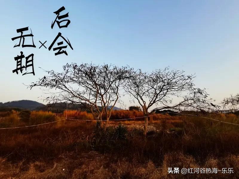 人对免费得来的东西，又或者是，关系太熟得到的东西，都会不太珍惜。
一个是，免费得