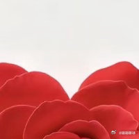 生活手记💕简单的活着，风来听风，雨来听雨，人生百味，随意就好！不求所有的日子，