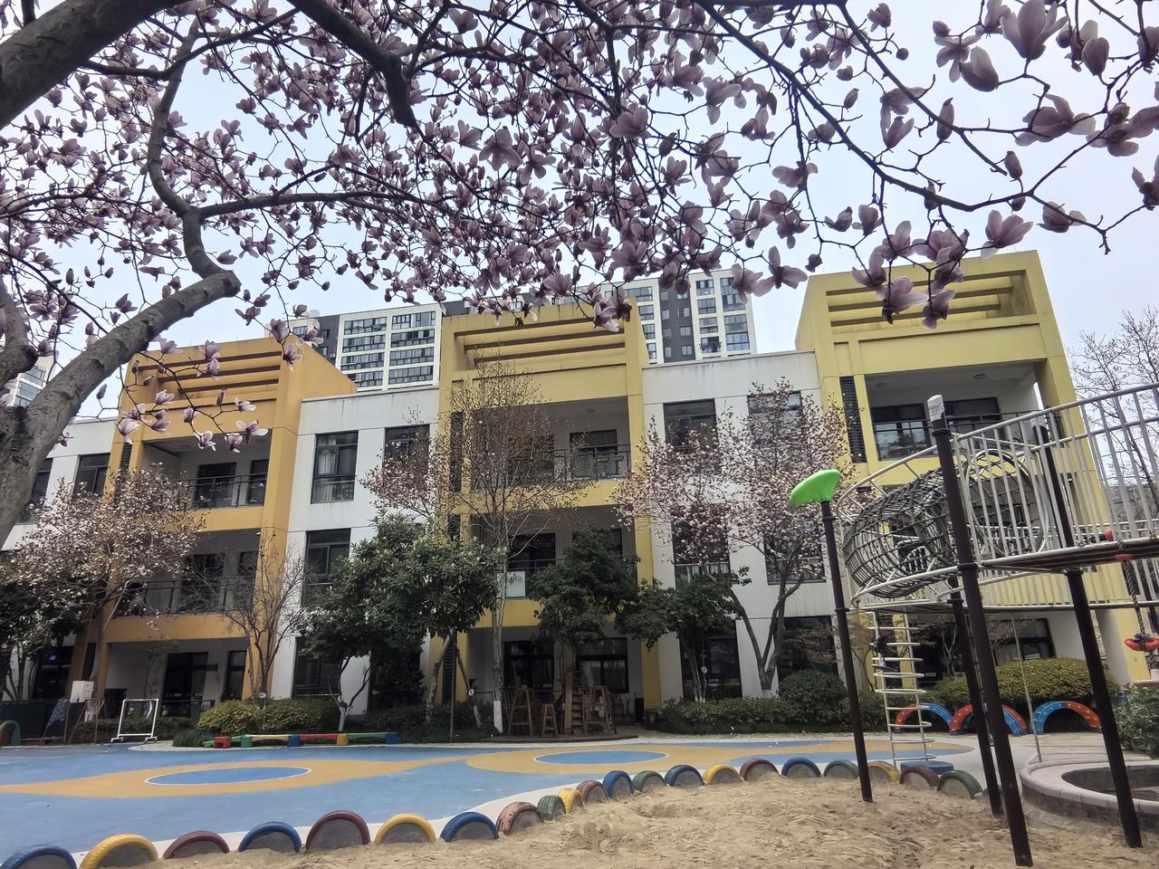 【热评】面对狗咬人如何实施正当防卫
疯狗冲进家中咬人 老人将狗打晕

“疯狗冲进