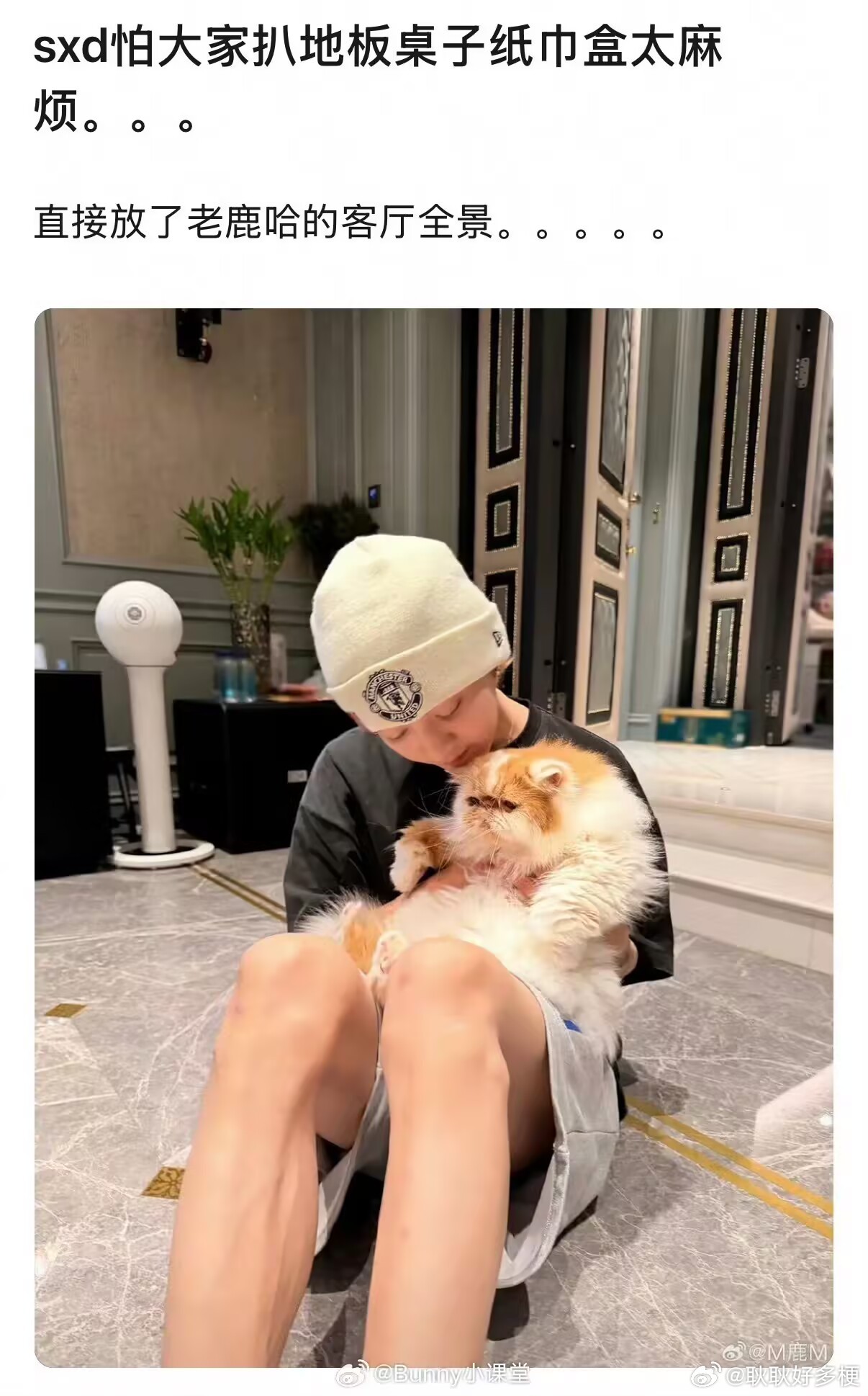 鹿晗 司晓迪啊？ 