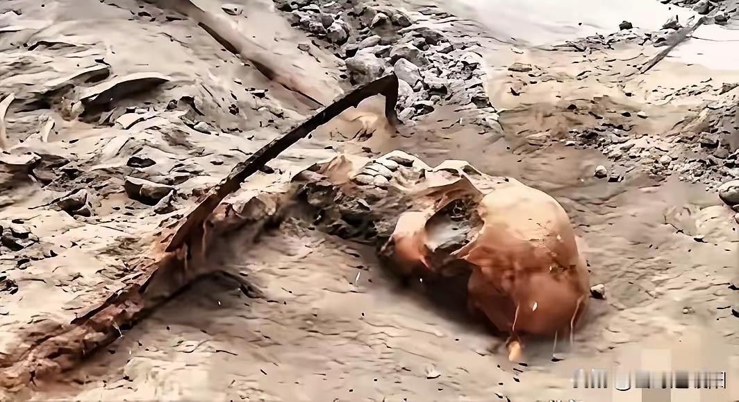 1068具遗骸，整整在土里埋了83年。就在前两天，河南舞钢挖出来的。如果不动土，